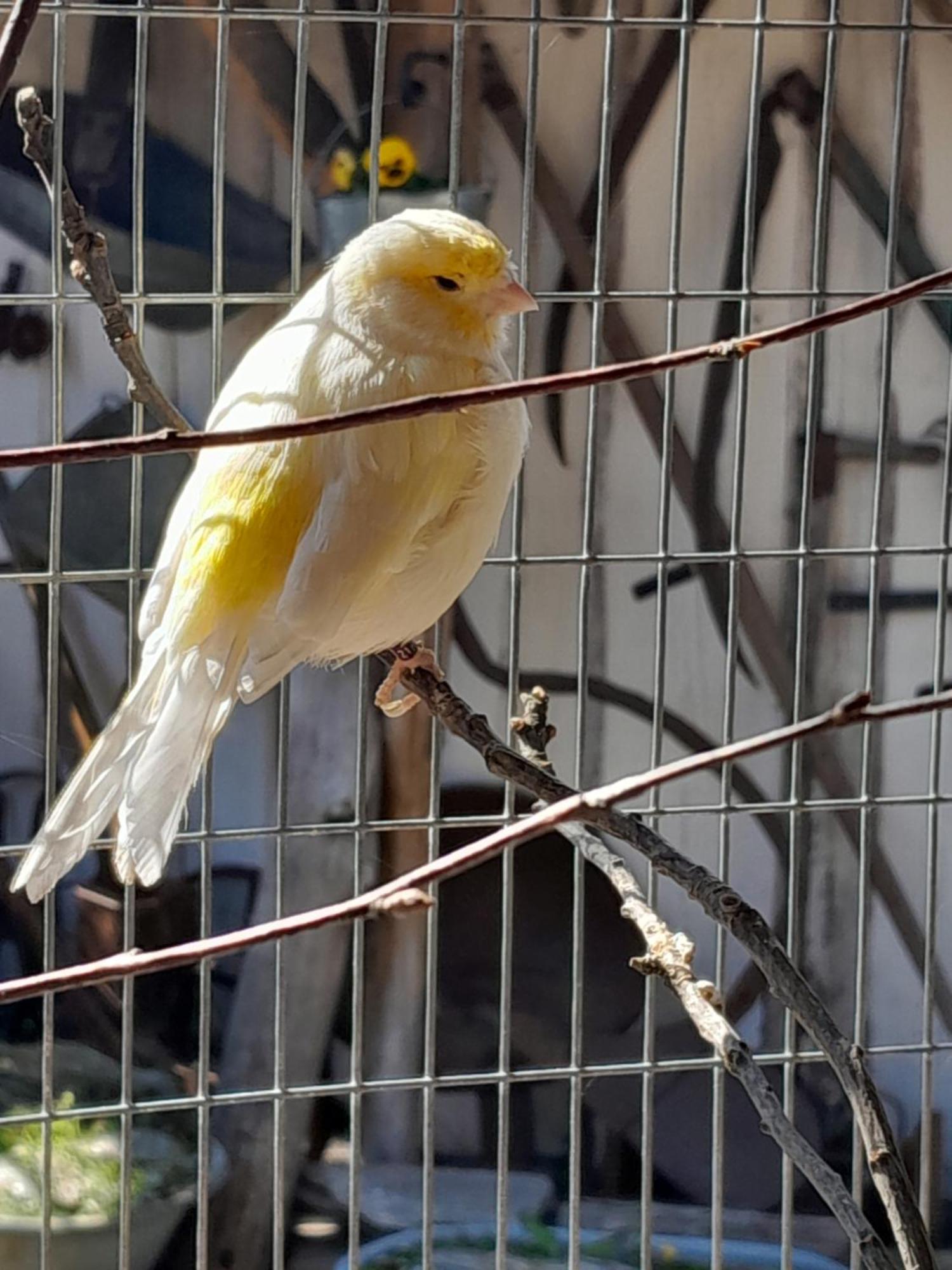 Pokoje Goscinne Skalnik - Agroturystyka Kostrzyn nad Odra Kültér fotó