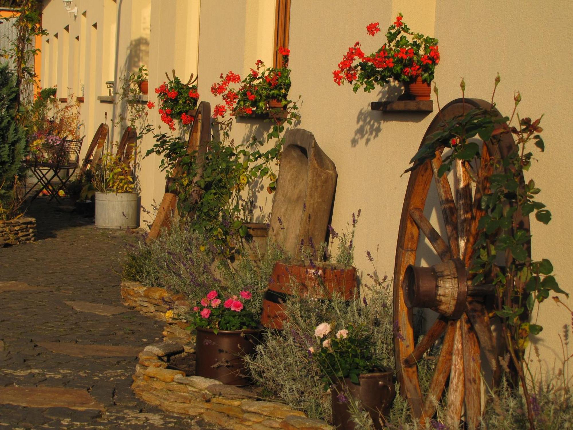 Pokoje Goscinne Skalnik - Agroturystyka Kostrzyn nad Odra Kültér fotó